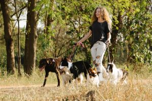 Choosing the Right Dog Breed for Your Lifestyle