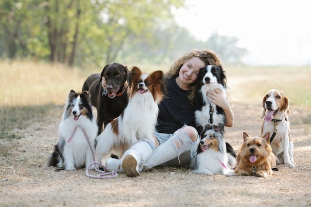 Choosing the Right Dog Breed for Your Lifestyle