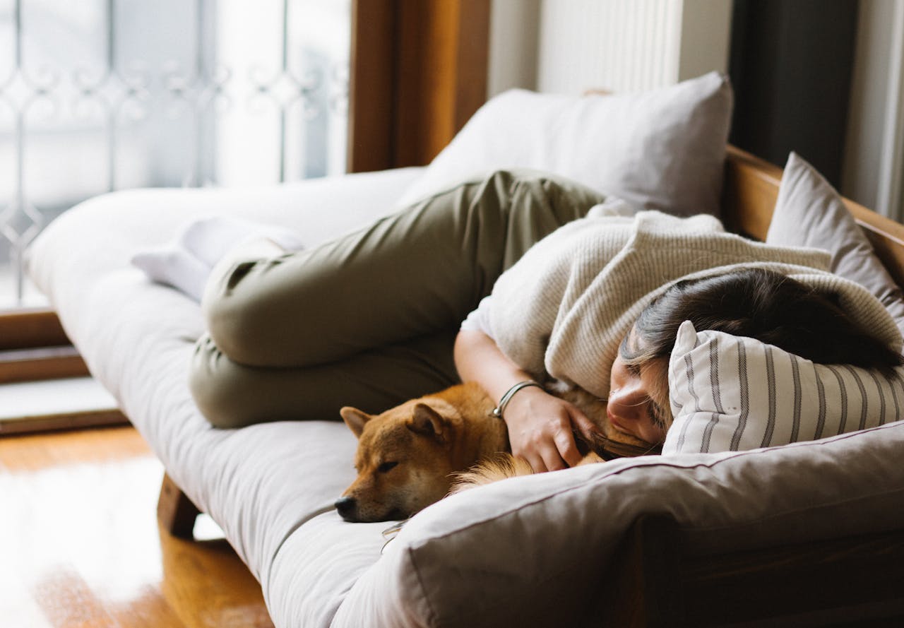 How to Train Your Dog to Sleep in Their Bed