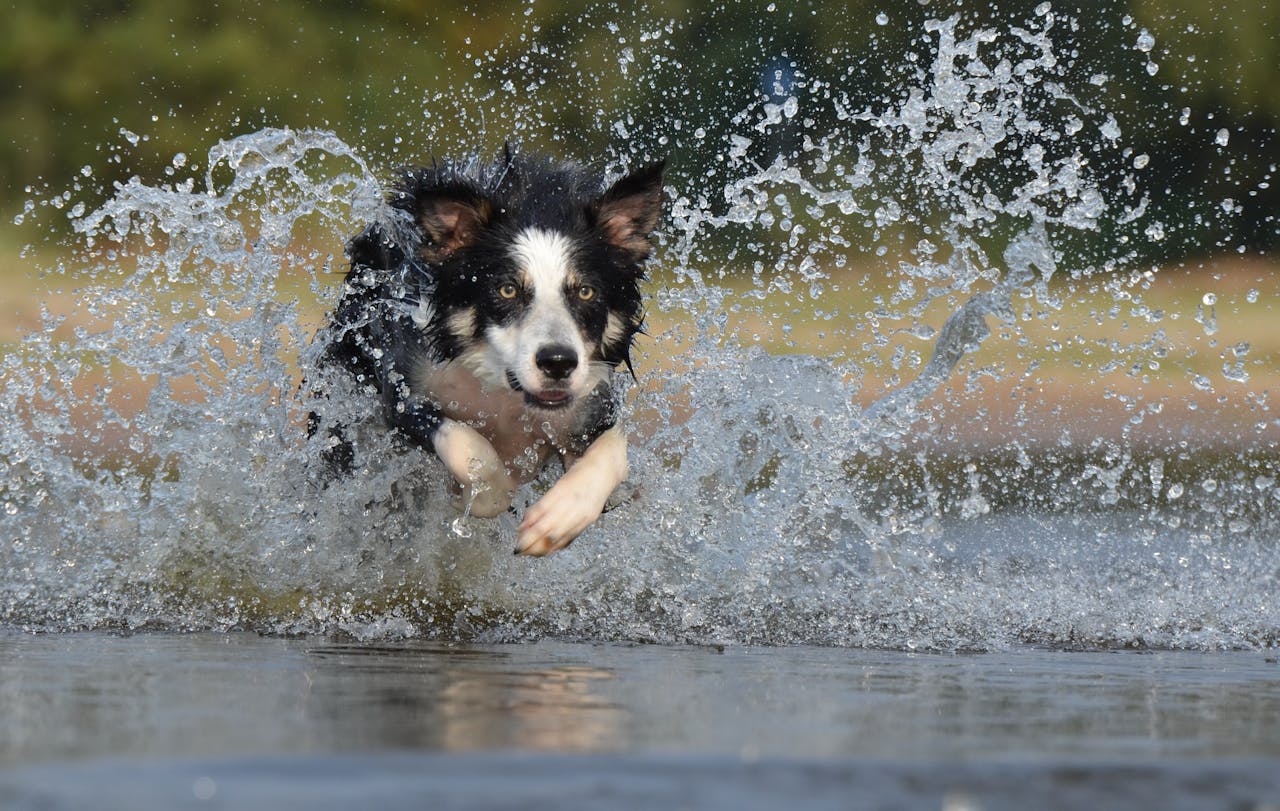 Advanced Recall Training Techniques