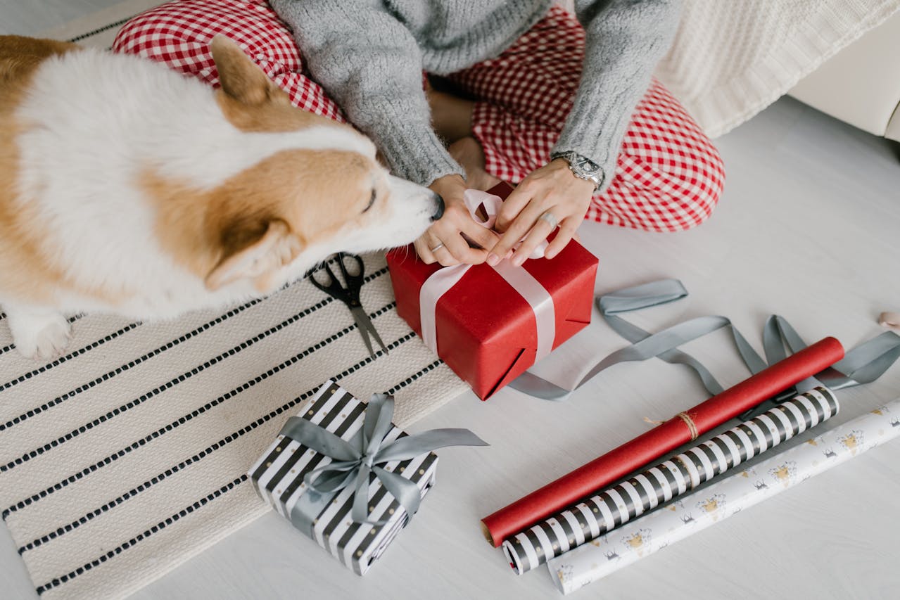 Valentine's Gift Guide for Dog Lovers