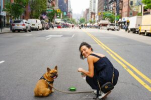 Stop Dog Pulling on Leash