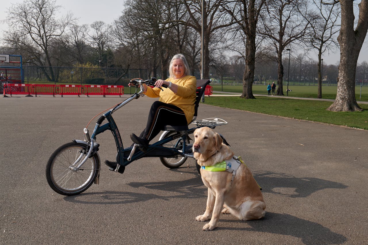 Service Dog Training