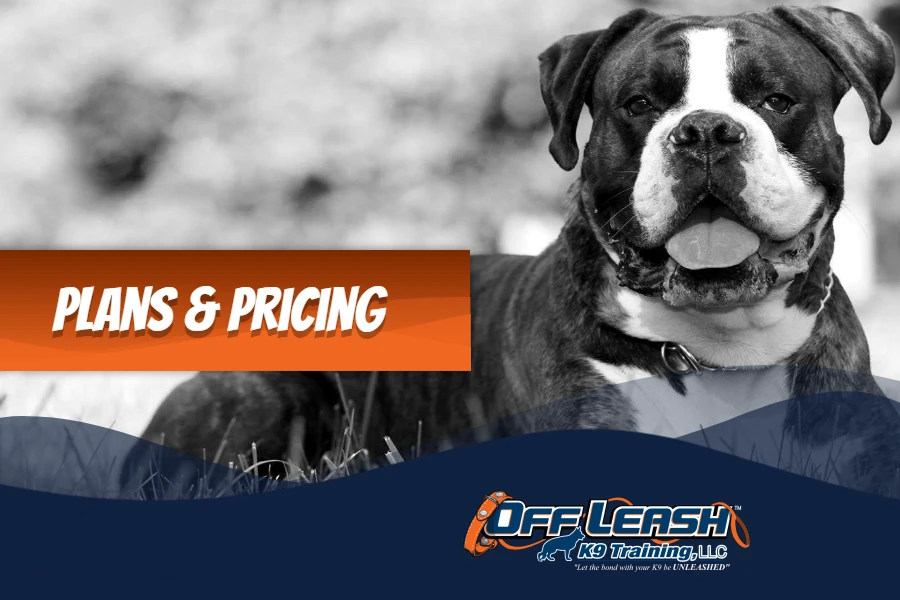 Off Leash K9 Seattle Plans And Pricing