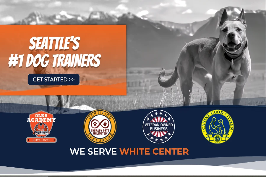 Off Leash K9 Training Seattle
