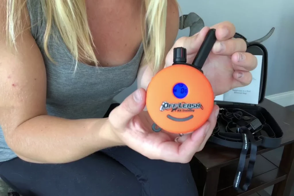 e collar dog training